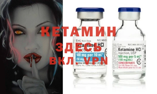 прущие грибы Горняк