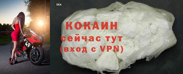 кокс Гусев