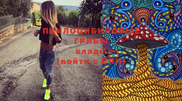 прущие грибы Горняк