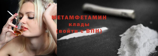 прущие грибы Горняк