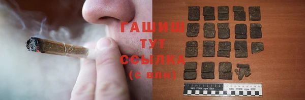 прущие грибы Горняк