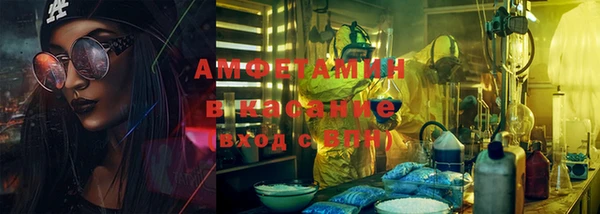 прущие грибы Горняк