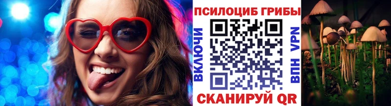 Псилоцибиновые грибы мухоморы  Избербаш 